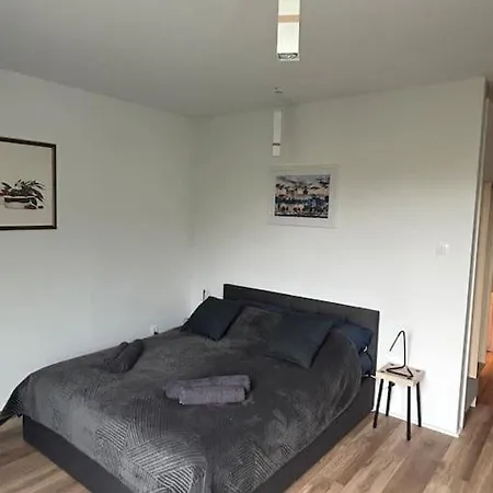 Apartment Stary *